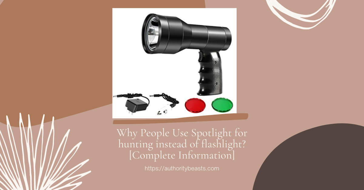 Why People Use Spotlight for hunting instead of flashlight [Complete Information]
