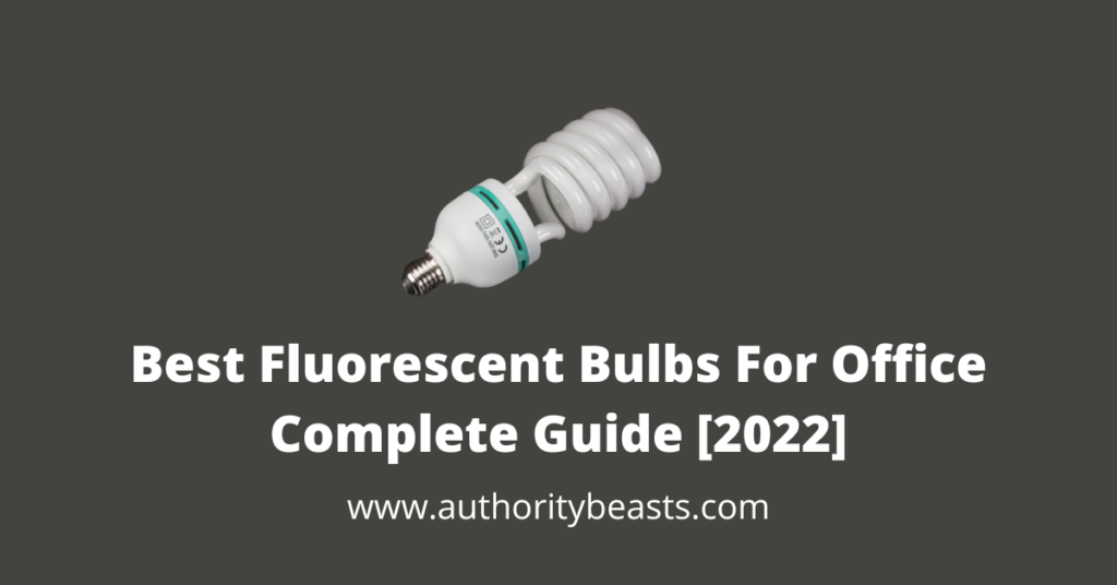 Best Fluorescent Bulbs For Office Complete Guide 2022 1024x536 