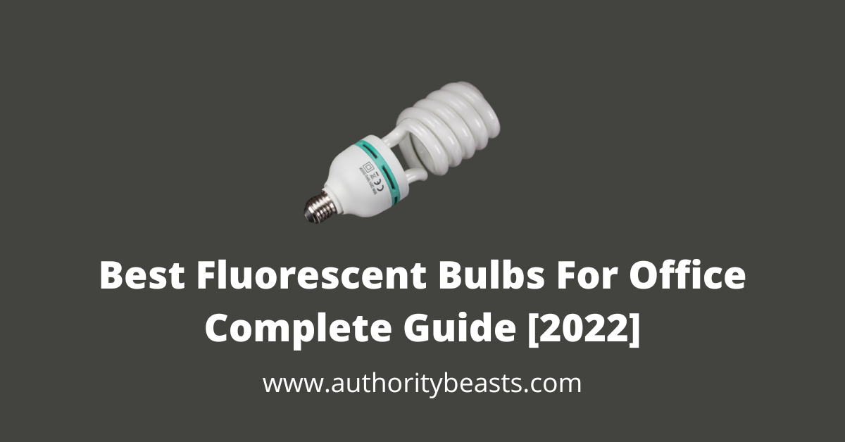 Best Fluorescent Bulbs For Office Complete Guide [2022]