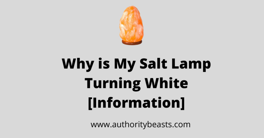 why-is-my-salt-lamp-turning-white-complete-guide-authority-beasts