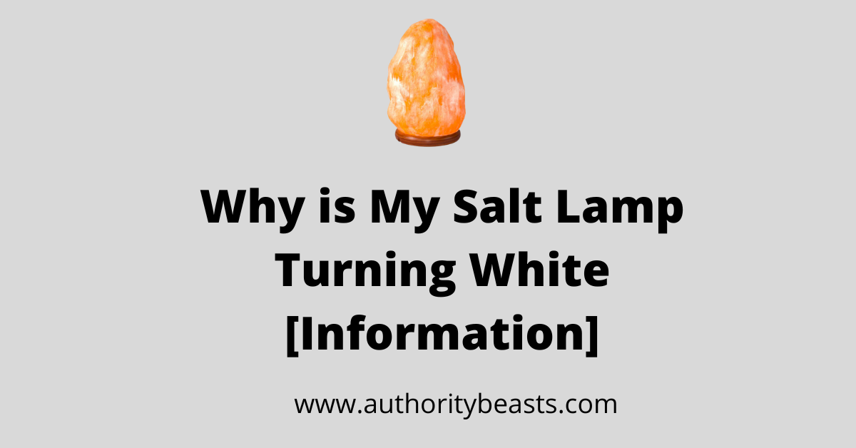 Why is My Salt Lamp Turning White – [Complete-Guide]